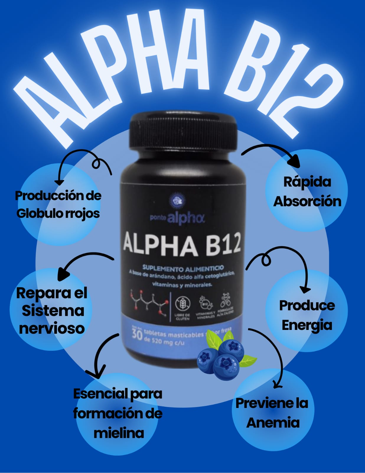 Alpha B12 - Image 4